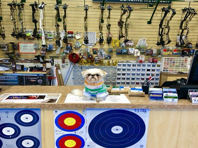 Best Outdoor Target Ranges Phoenix Archery Shop Your Area 