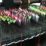 Local archery ranges Rochester buy bows arrows near you